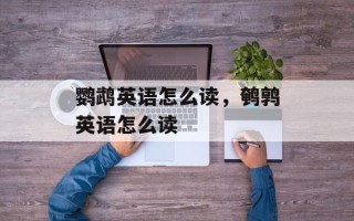 鹦鹉英语怎么读，鹌鹑英语怎么读