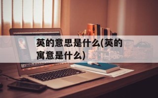 英的意思是什么(英的寓意是什么)