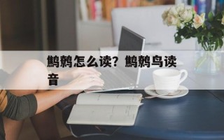 鹪鹩怎么读？鹪鹩鸟读音