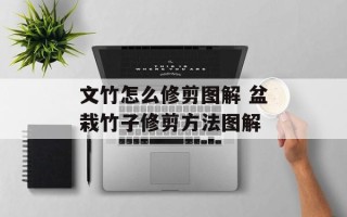 文竹怎么修剪图解 盆栽竹子修剪方法图解