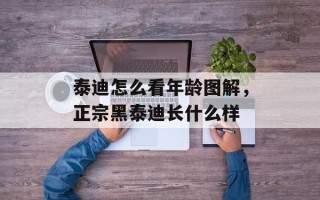泰迪怎么看年龄图解，正宗黑泰迪长什么样