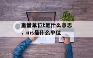 重量单位t是什么意思，ms是什么单位