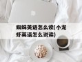 蜘蛛英语怎么读(小龙虾英语怎么说读)