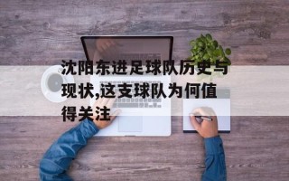 沈阳东进足球队历史与现状,这支球队为何值得关注
