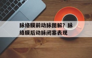 脉络膜前动脉图解？脉络膜后动脉闭塞表现