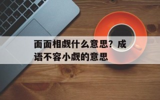 面面相觑什么意思？成语不容小觑的意思