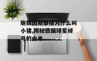 施魏因斯泰格为什么叫小猪,揭秘德国球星绰号的由来