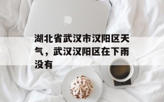 湖北省武汉市汉阳区天气，武汉汉阳区在下雨没有