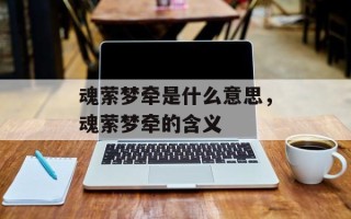 魂萦梦牵是什么意思，魂萦梦牵的含义