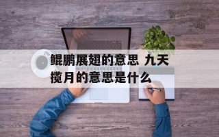 鲲鹏展翅的意思 九天揽月的意思是什么