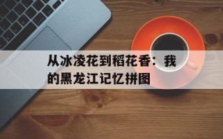 从冰凌花到稻花香：我的黑龙江记忆拼图