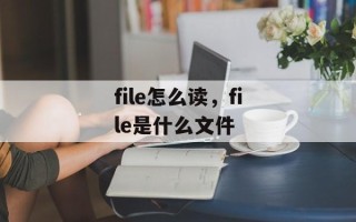 file怎么读，file是什么文件