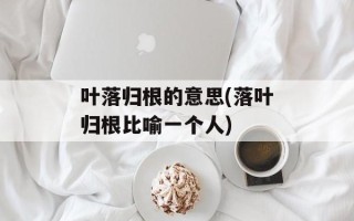叶落归根的意思(落叶归根比喻一个人)