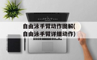 自由泳手臂动作图解(自由泳手臂详细动作)