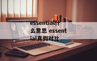essential什么意思 essential真假对比