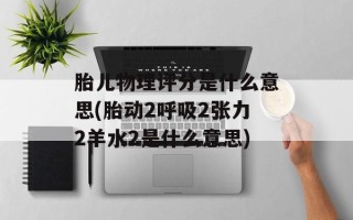 胎儿物理评分是什么意思(胎动2呼吸2张力2羊水2是什么意思)