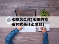 水螅怎么读(水螅的繁殖方式是什么生殖)