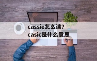 cassie怎么读？casic是什么意思