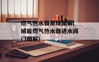 燃气热水器原理图解(威能燃气热水器进水阀门图解)