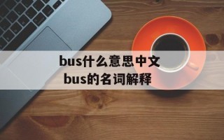 bus什么意思中文  bus的名词解释