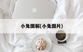小兔图解(小兔图片)