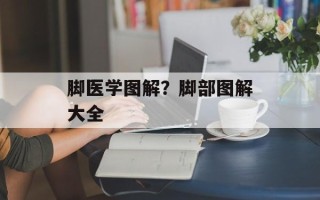 脚医学图解？脚部图解大全