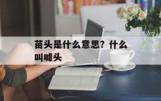 苗头是什么意思？什么叫噱头