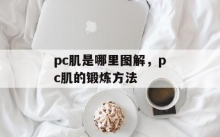 pc肌是哪里图解，pc肌的锻炼方法