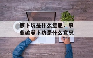 萝卜坑是什么意思，事业编萝卜坑是什么意思