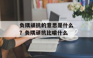 负隅顽抗的意思是什么？负隅顽抗比喻什么