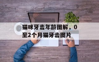 猫咪牙齿年龄图解，0至2个月猫牙齿图片