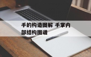 手的构造图解 手掌内部结构图谱