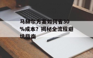 马赫尔方案如何省30%成本？揭秘全流程避坑指南