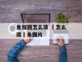鱼加回怎么读 鮰怎么读鮰鱼图片