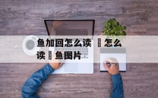 鱼加回怎么读 鮰怎么读鮰鱼图片