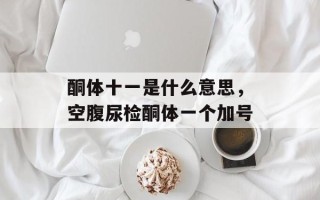 酮体十一是什么意思，空腹尿检酮体一个加号