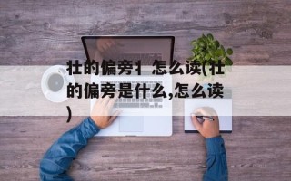 壮的偏旁丬怎么读(壮的偏旁是什么,怎么读)