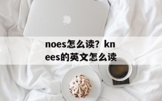 noes怎么读？knees的英文怎么读