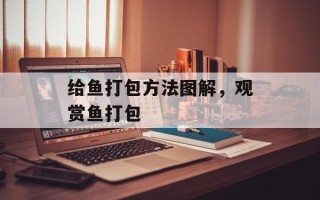 给鱼打包方法图解，观赏鱼打包