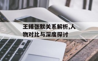 王臻张默关系解析,人物对比与深度探讨