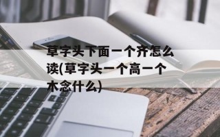 草字头下面一个齐怎么读(草字头一个高一个木念什么)