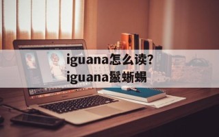 iguana怎么读？iguana鬣蜥蜴