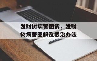 发财树病害图解，发财树病害图解及根治办法