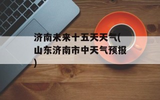 济南未来十五天天气(山东济南市中天气预报)