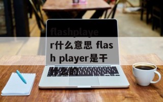 flashplayer什么意思 flash player是干什么的