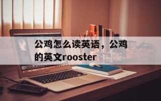 公鸡怎么读英语，公鸡的英文rooster