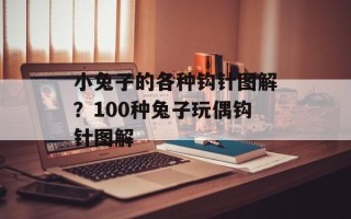 小兔子的各种钩针图解？100种兔子玩偶钩针图解