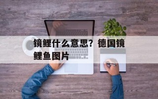 镜鲤什么意思？德国镜鲤鱼图片