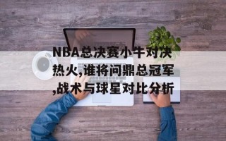 NBA总决赛小牛对决热火,谁将问鼎总冠军,战术与球星对比分析