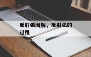 反射弧图解，反射弧的过程